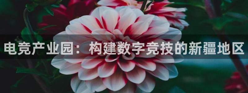 乐竞电竞平台